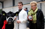 David wins Senior Stockman at National Calf Show 2013