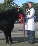 David - 1st in Senior Stockperson competition at National Calf Show 2012