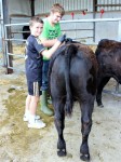 Kevin and cousin Jack busy grooming at YDP day on the farm 2013