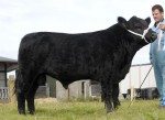 Goulding Eammon 190 ET