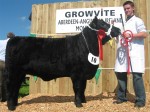 Goulding Ester F202