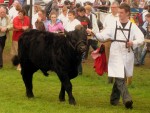 Best foot forward at the Tullamore Show 2012