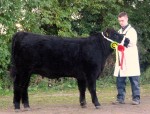 Female Champion National Calf Show 2012