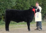 Reserve Female Champion National Calf Show 2012