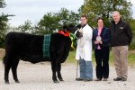 Female-champion - National Calf Show