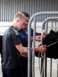 Changing a halter