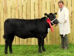 Mohill Show 2018