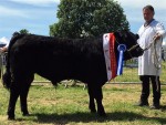 Charleville Show 2018