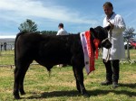 Aldi Qualifier Charleville Show