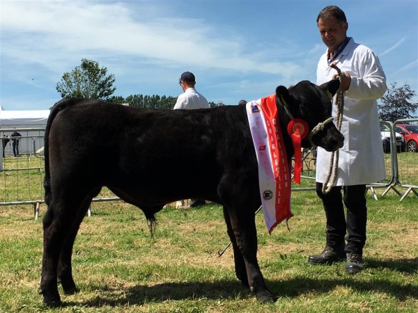 Aldi Qualifier Charleville Show