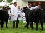 Mohill Show 2018