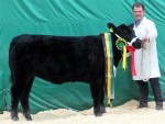 Goulding Belinda U906