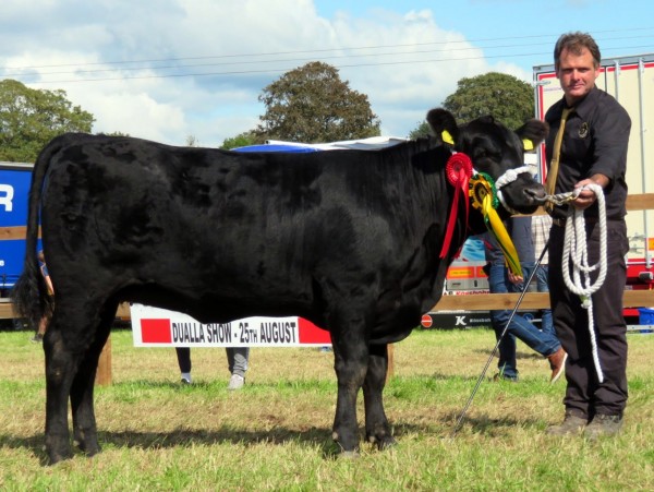 Goulding R Missie 963