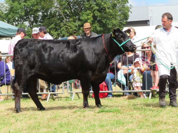 Tibbie 892