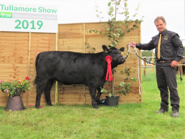 1st National Livestock Show Tullamore 2019